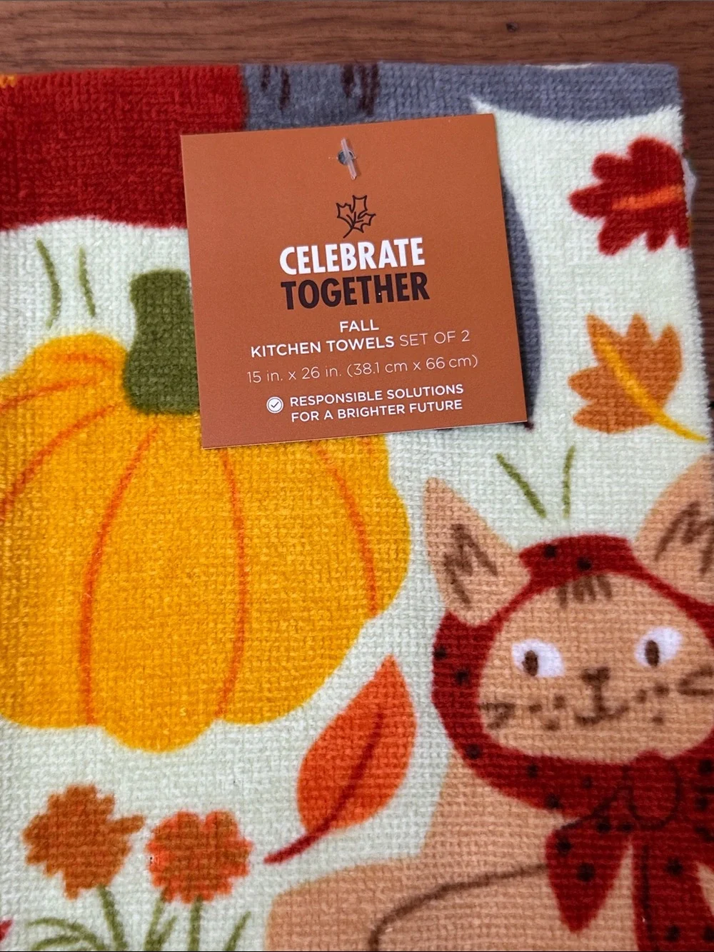 Celebrate Together Fall Kitchen Towels Set - Orange Pumpkin & Cat